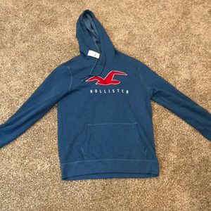 Hollister Light Blue Large Hoodie